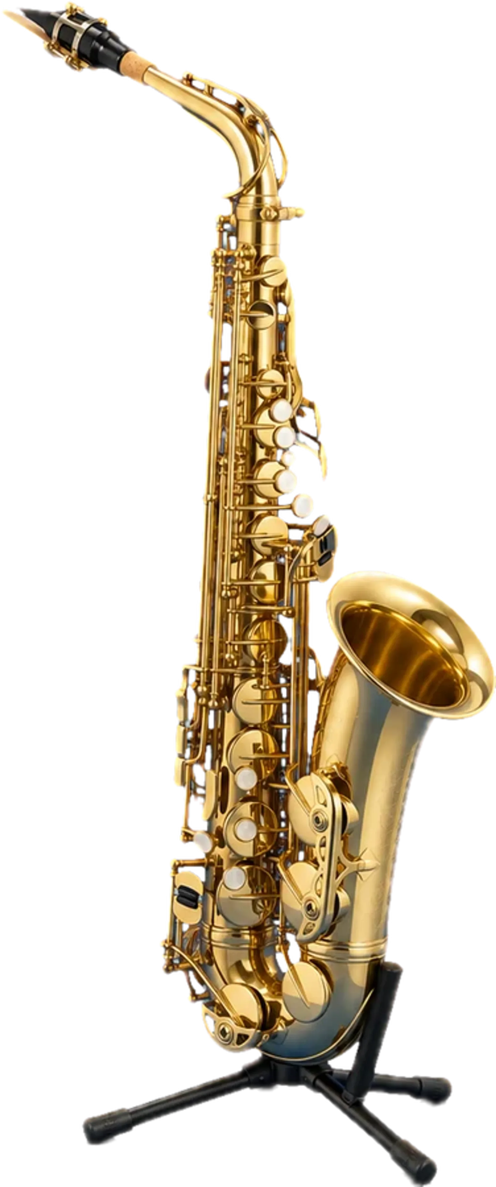 Mở lớp Saxophone và Cello tại trung tâm