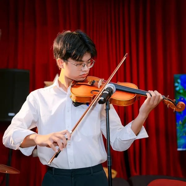 Violin