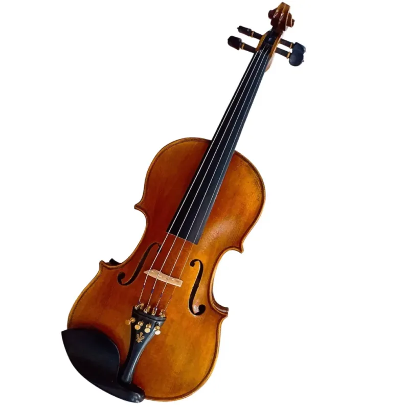 Đàn violin Cadu CD-05i