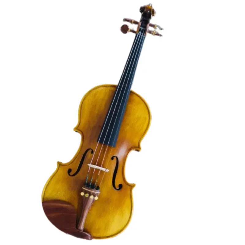 Đàn violin Cadu CD-03i