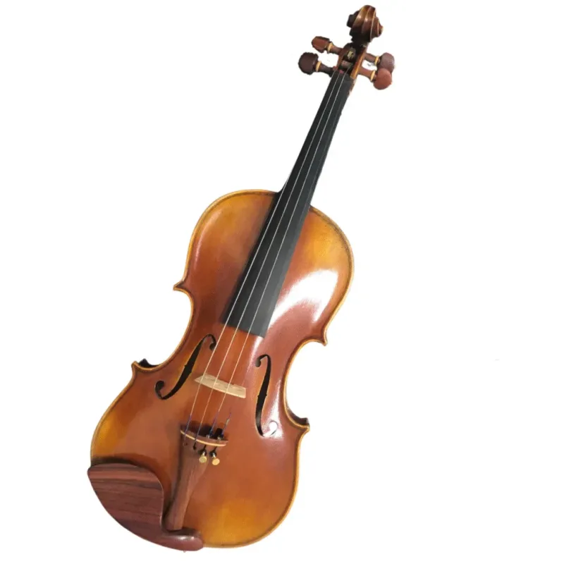 Đàn violin Cadu CD-08i
